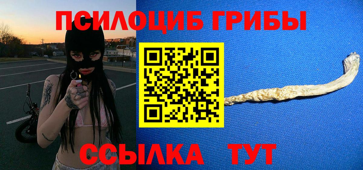 Краснотурьинск  Галлюциногенные грибы GOLDEN TEACHER  Вход с VPN  Псилоцибиновые грибы GOLDEN TEACHER 