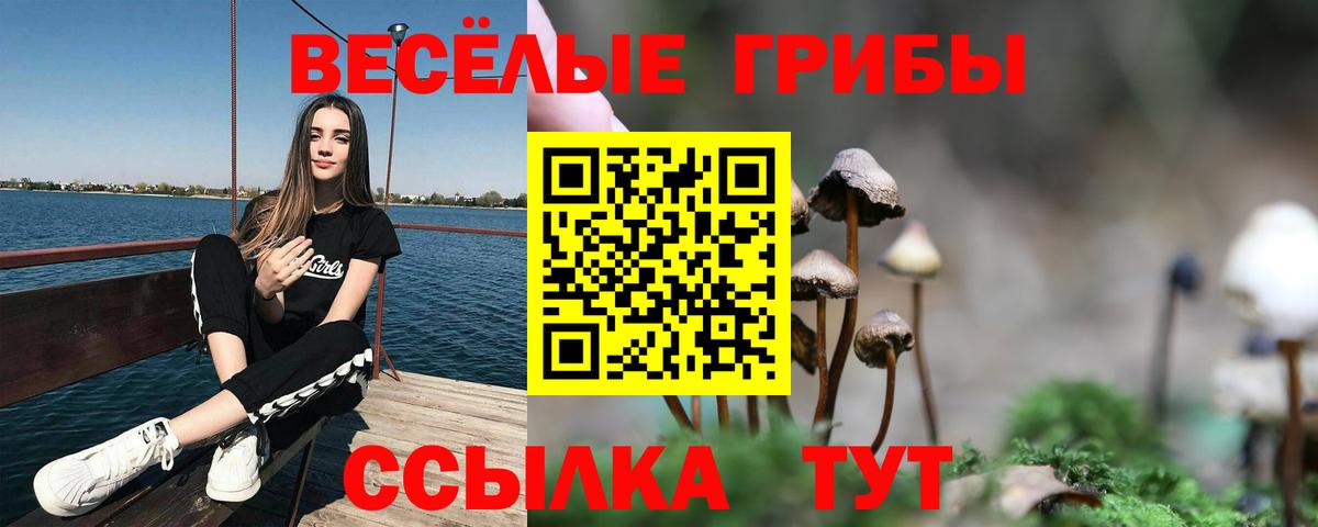 Галлюциногенные грибы мухоморы Краснотурьинск
